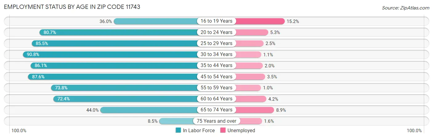 Employment Status by Age in Zip Code 11743