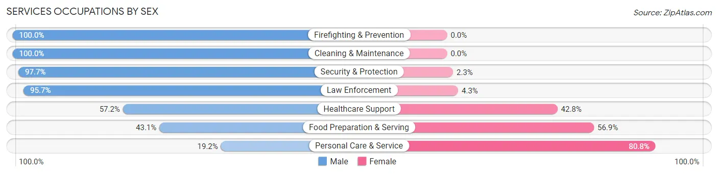 Services Occupations by Sex in Zip Code 11755