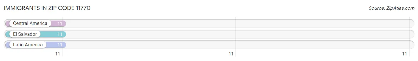 Immigrants in Zip Code 11770
