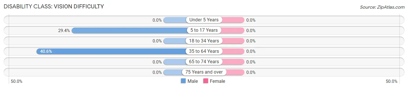 Disability in Zip Code 11770: <span>Vision Difficulty</span>