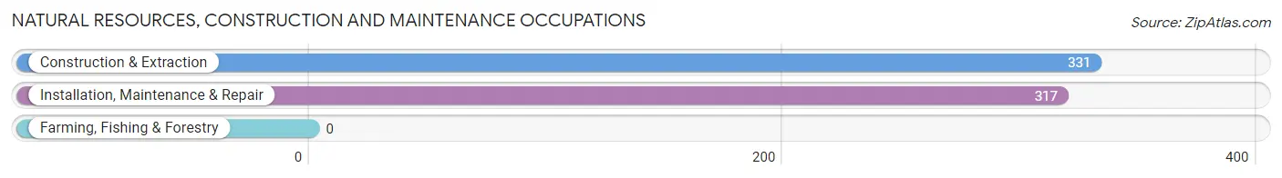 Natural Resources, Construction and Maintenance Occupations in Zip Code 11776