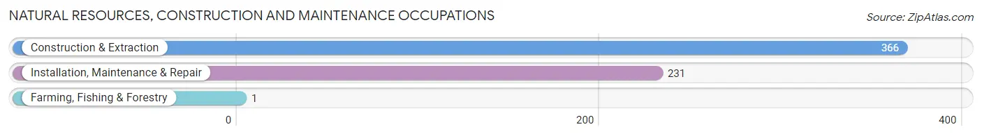 Natural Resources, Construction and Maintenance Occupations in Zip Code 11782