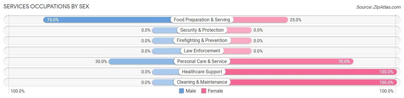 Services Occupations by Sex in Zip Code 11794