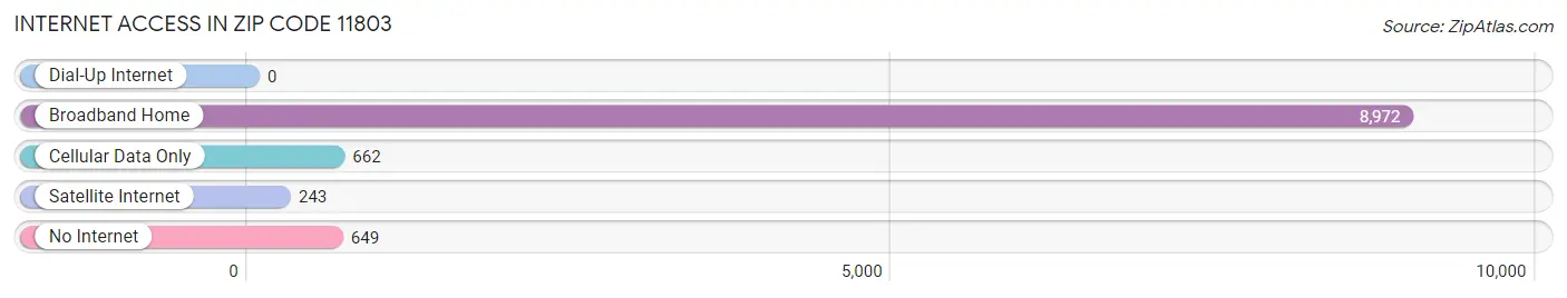 Internet Access in Zip Code 11803