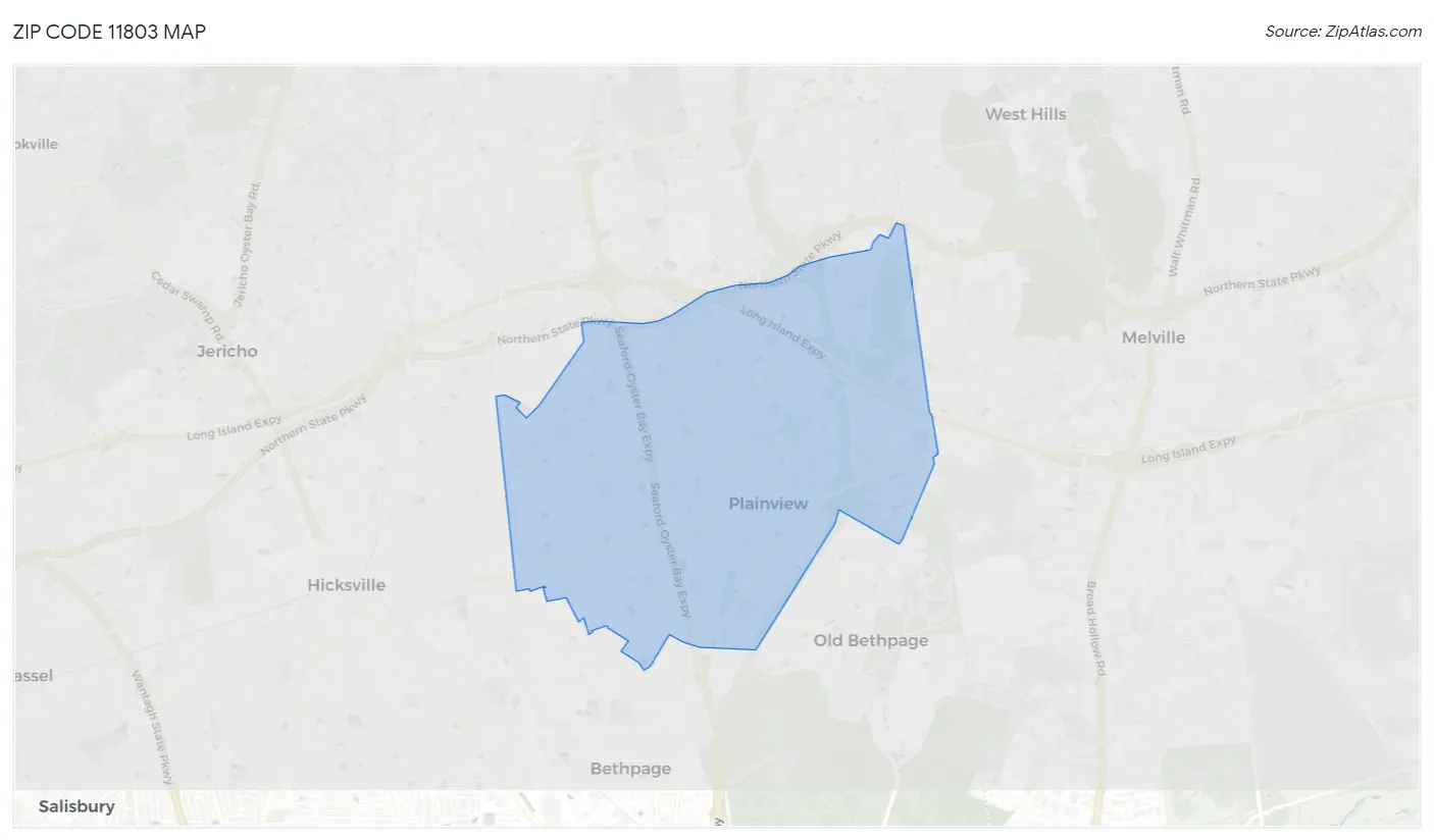 Zip Code 11803 Map