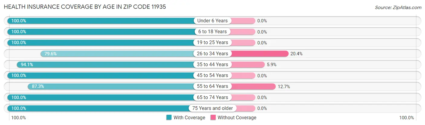 Health Insurance Coverage by Age in Zip Code 11935