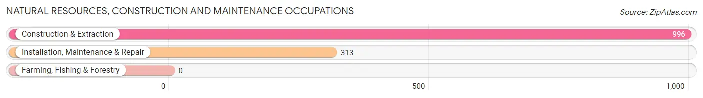 Natural Resources, Construction and Maintenance Occupations in Zip Code 11937