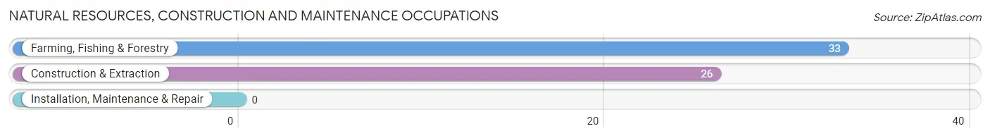 Natural Resources, Construction and Maintenance Occupations in Zip Code 11939