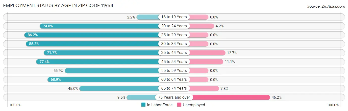 Employment Status by Age in Zip Code 11954