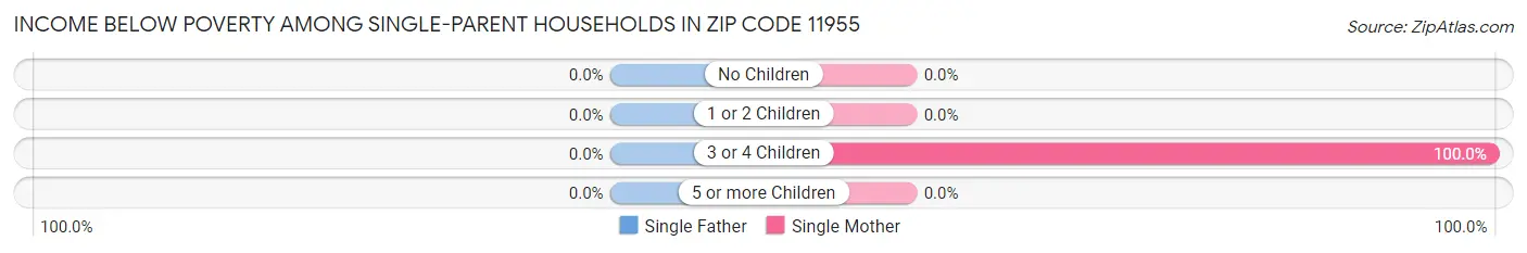 Income Below Poverty Among Single-Parent Households in Zip Code 11955