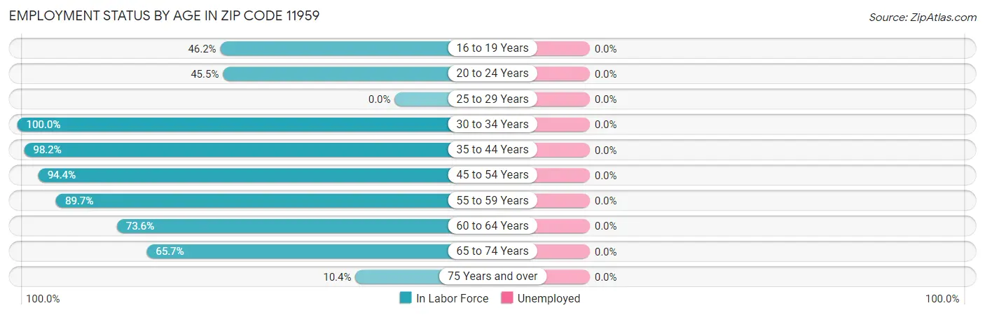 Employment Status by Age in Zip Code 11959