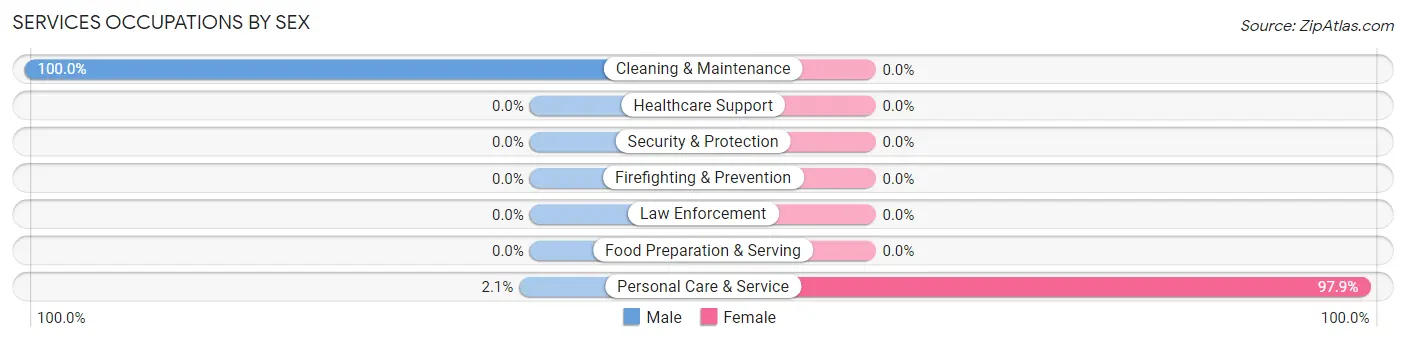 Services Occupations by Sex in Zip Code 11965