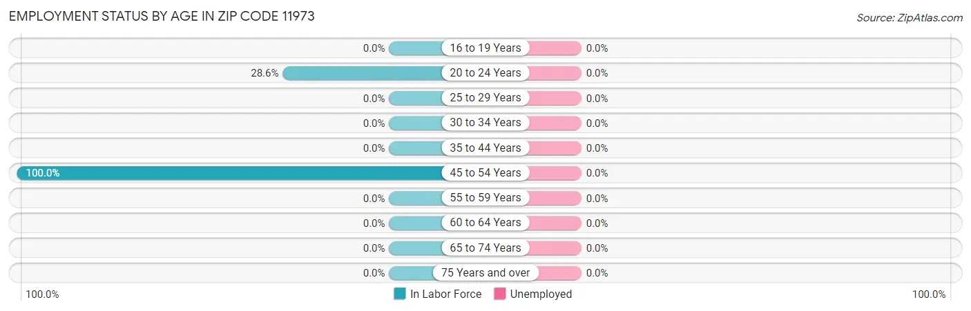 Employment Status by Age in Zip Code 11973