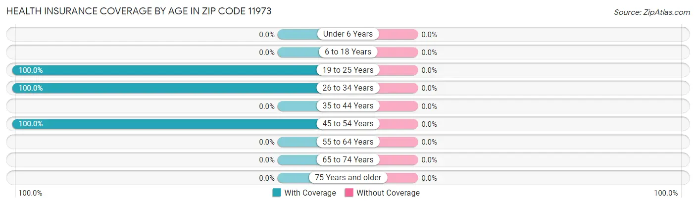 Health Insurance Coverage by Age in Zip Code 11973