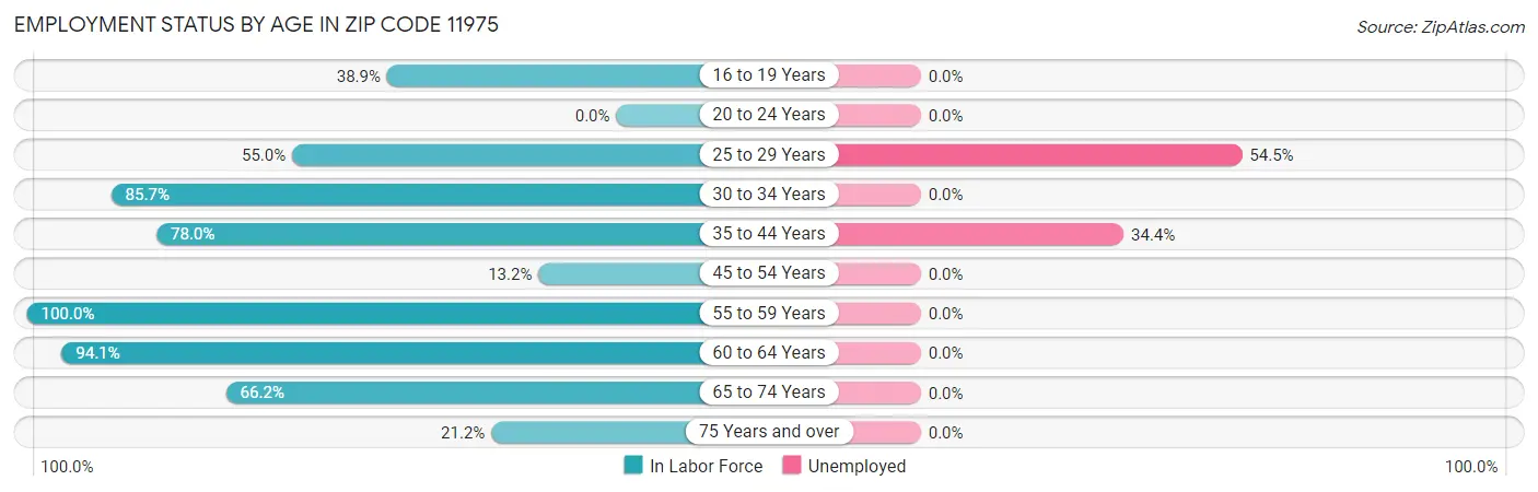Employment Status by Age in Zip Code 11975