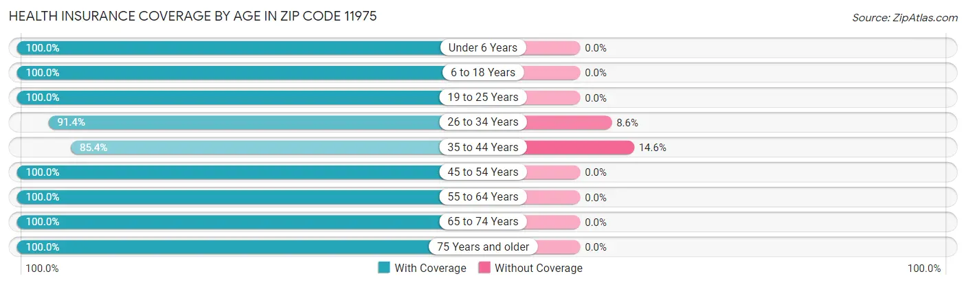 Health Insurance Coverage by Age in Zip Code 11975