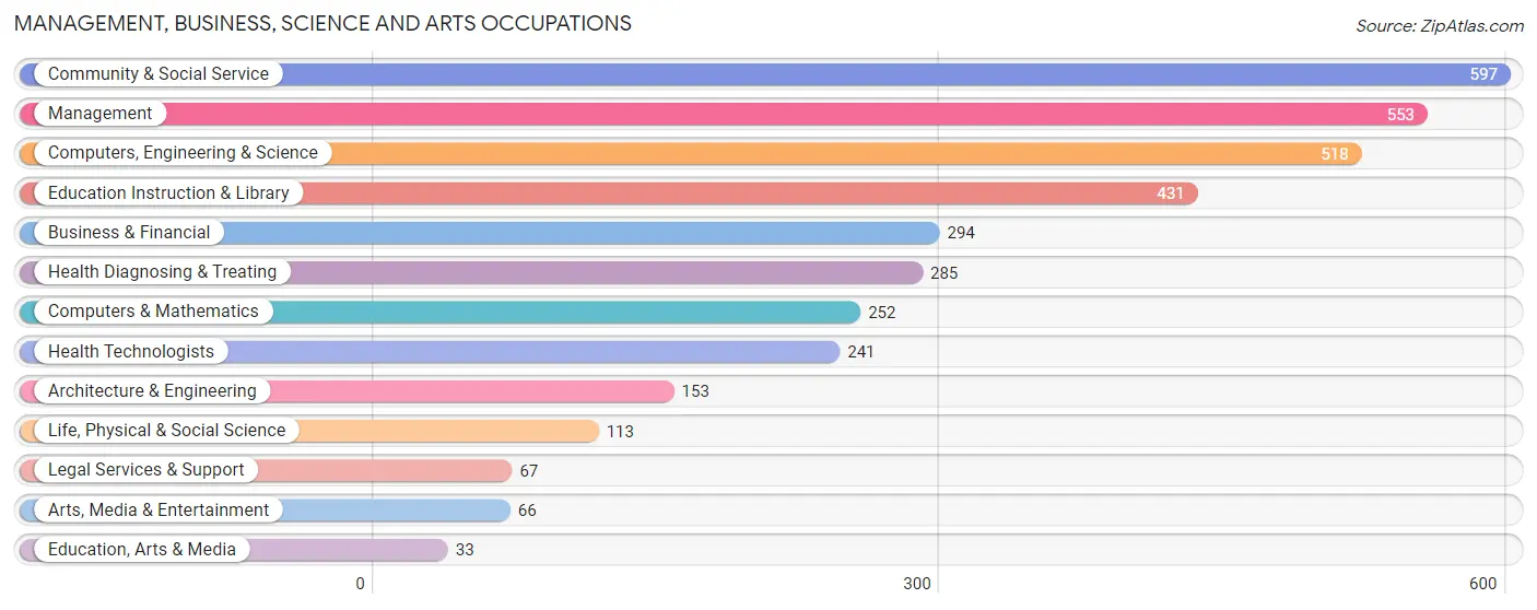 Management, Business, Science and Arts Occupations in Zip Code 12009