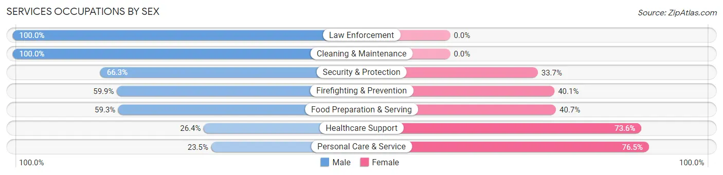 Services Occupations by Sex in Zip Code 12019