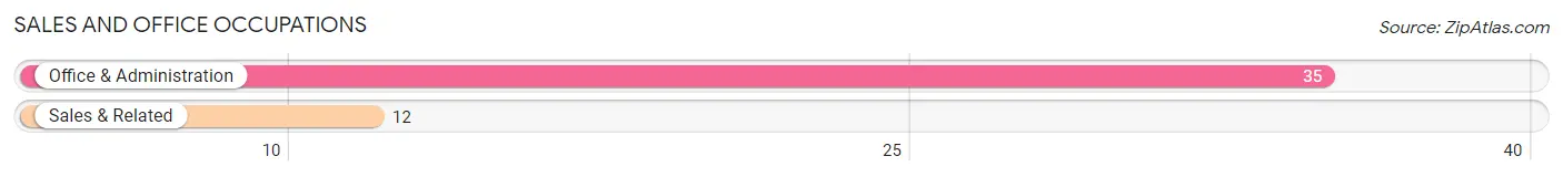 Sales and Office Occupations in Zip Code 12028