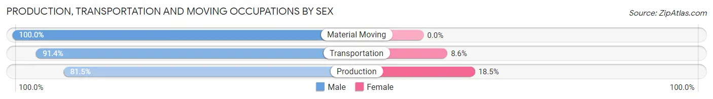 Production, Transportation and Moving Occupations by Sex in Zip Code 12029
