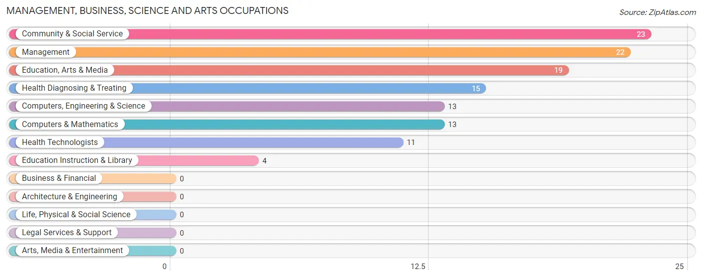 Management, Business, Science and Arts Occupations in Zip Code 12031