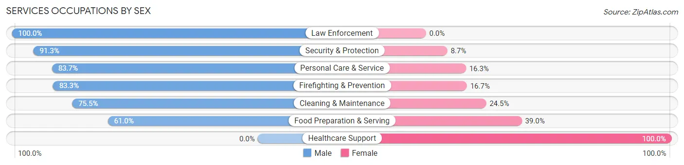 Services Occupations by Sex in Zip Code 12033
