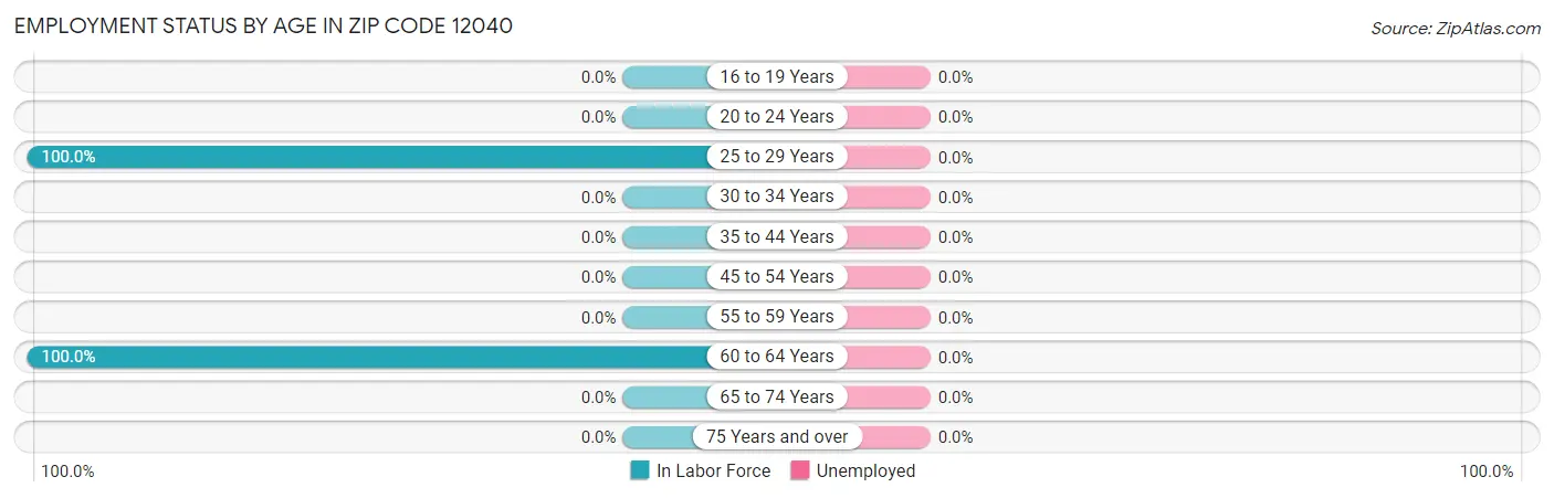 Employment Status by Age in Zip Code 12040