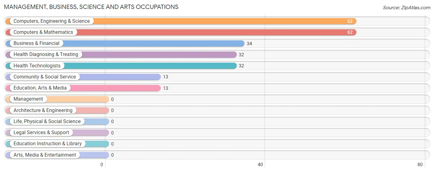 Management, Business, Science and Arts Occupations in Zip Code 12041