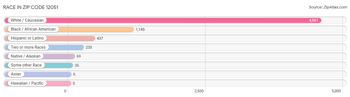 Race in Zip Code 12051