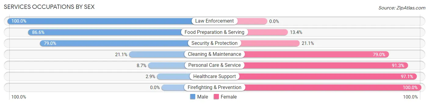 Services Occupations by Sex in Zip Code 12072