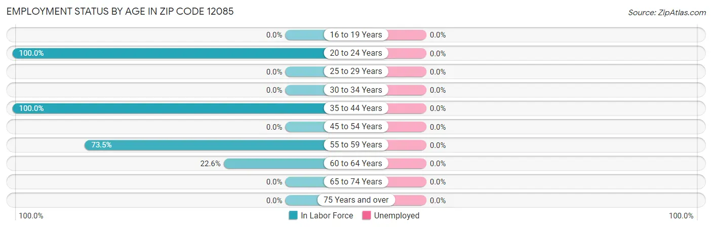 Employment Status by Age in Zip Code 12085