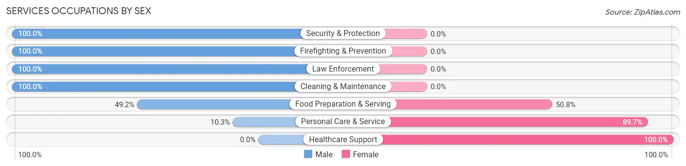 Services Occupations by Sex in Zip Code 12090