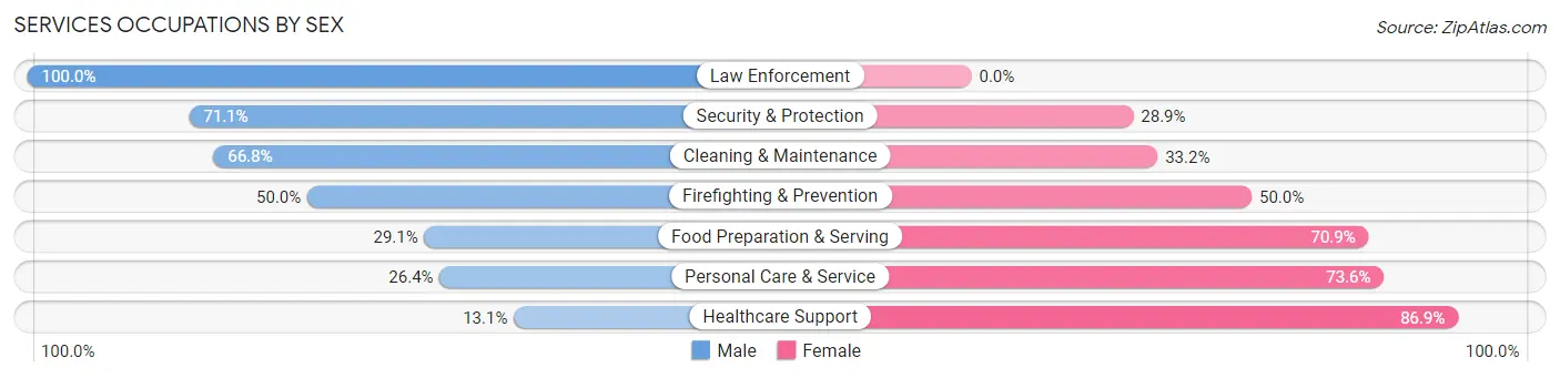 Services Occupations by Sex in Zip Code 12110