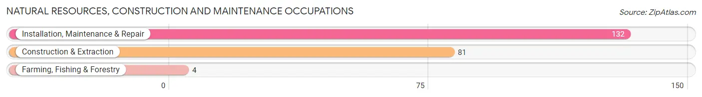 Natural Resources, Construction and Maintenance Occupations in Zip Code 12122