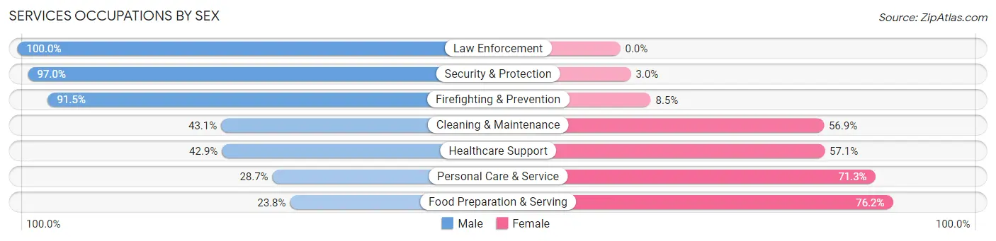 Services Occupations by Sex in Zip Code 12123