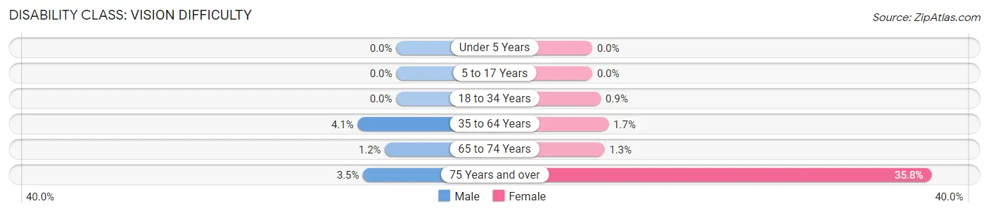 Disability in Zip Code 12138: <span>Vision Difficulty</span>