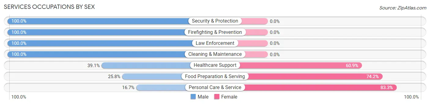 Services Occupations by Sex in Zip Code 12149