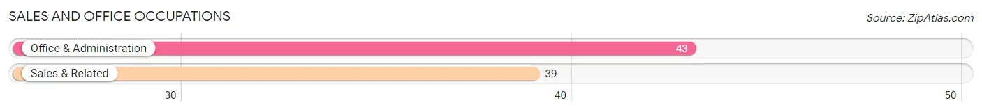 Sales and Office Occupations in Zip Code 12160