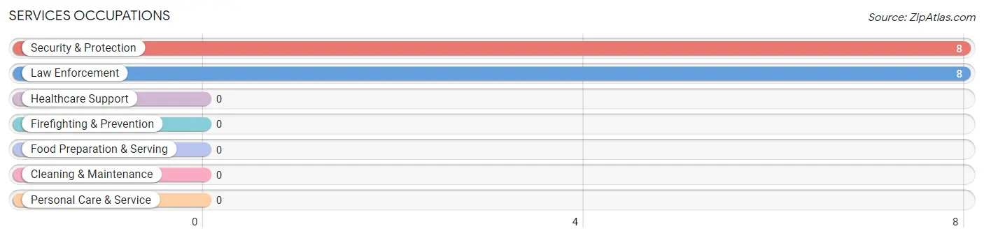 Services Occupations in Zip Code 12161