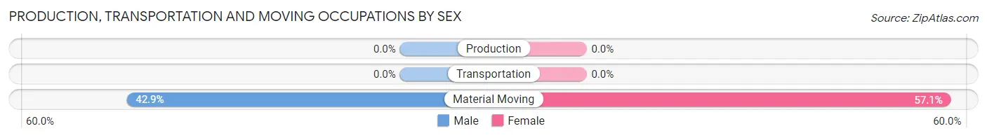 Production, Transportation and Moving Occupations by Sex in Zip Code 12165