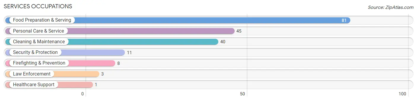 Services Occupations in Zip Code 12167