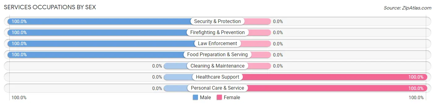 Services Occupations by Sex in Zip Code 12175