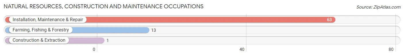 Natural Resources, Construction and Maintenance Occupations in Zip Code 12192