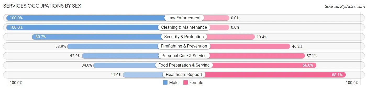 Services Occupations by Sex in Zip Code 12197