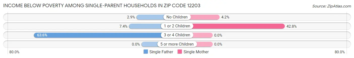 Income Below Poverty Among Single-Parent Households in Zip Code 12203