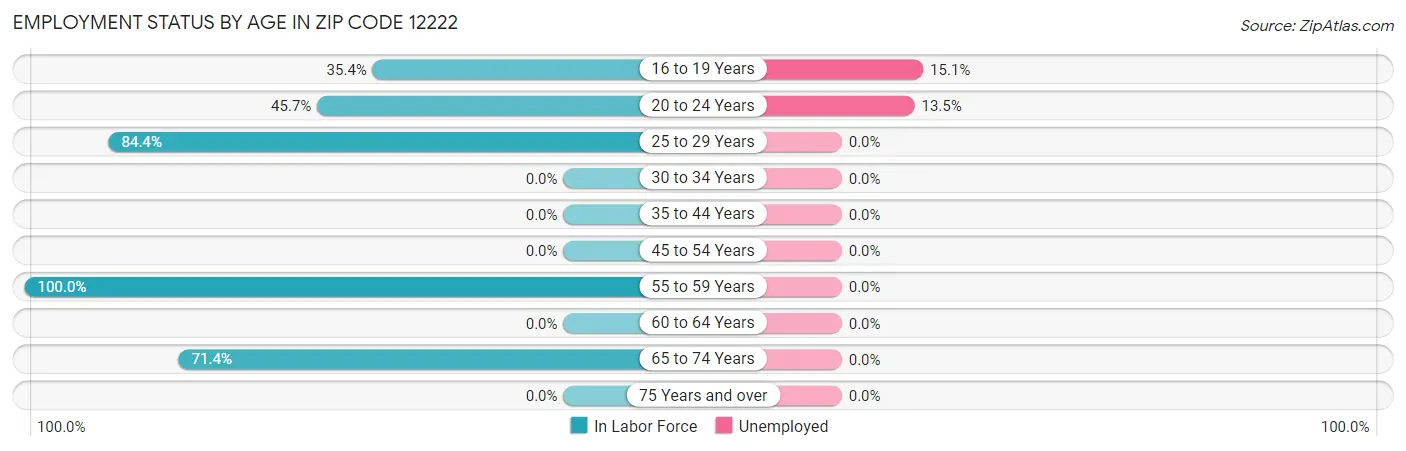 Employment Status by Age in Zip Code 12222