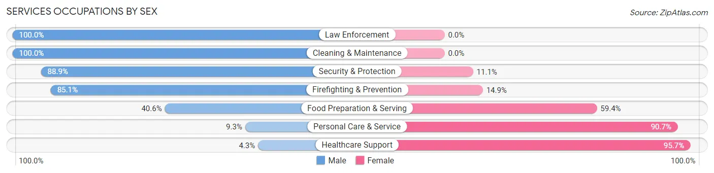Services Occupations by Sex in Zip Code 12222