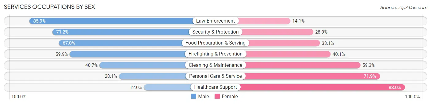 Services Occupations by Sex in Zip Code 12304