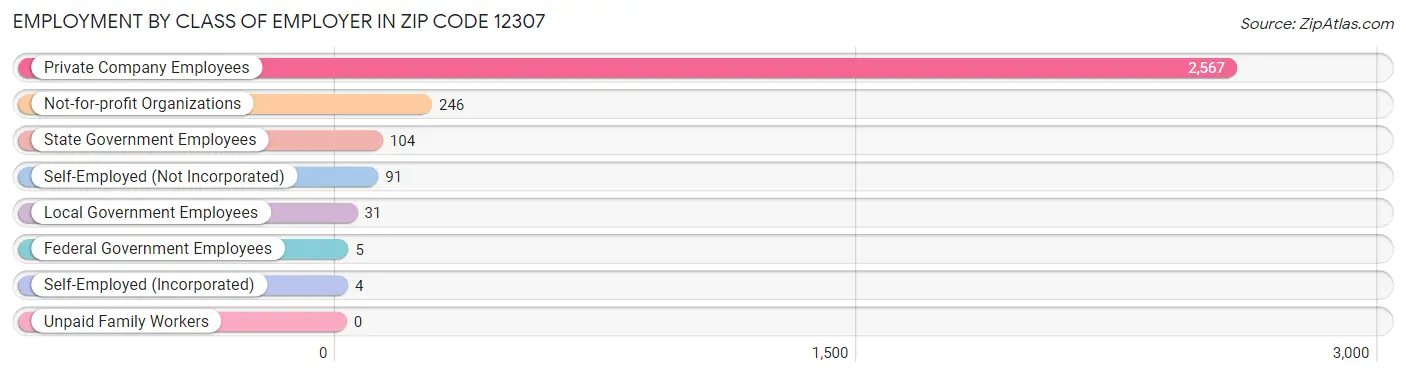 Employment by Class of Employer in Zip Code 12307