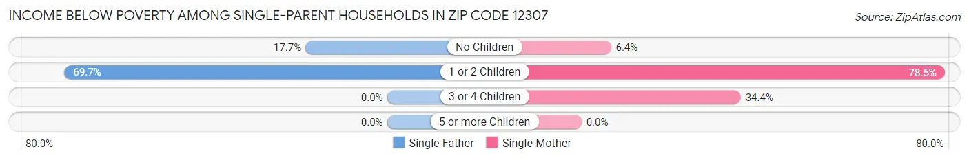 Income Below Poverty Among Single-Parent Households in Zip Code 12307